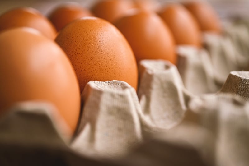 Egg Carton Art
